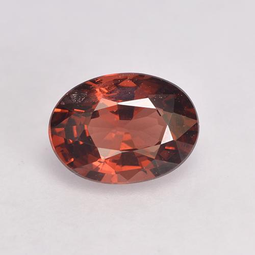 tiefrot Pyrop-Granat Edelstein - 1ct Oval facettiert (ID: 529095)