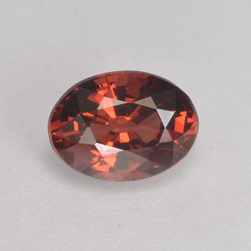 Scarlet Red Granato piropo Gem - 1.1ct Ovale sfaccettato (ID: 530075)