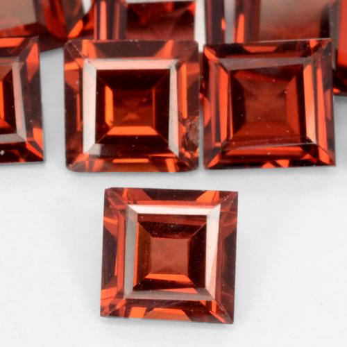 5 x 5mm Square Red Pyrope Garnet - Weight avg. 0.7ct each, 5 x 5mm Pyrope Garnet selling By Piece, Bright Red Color in VS Clarity, Natural untreated Gemstone, Mohs Hardness 6.5 - 7.5 suitable for daily wear jewelry, Photo A