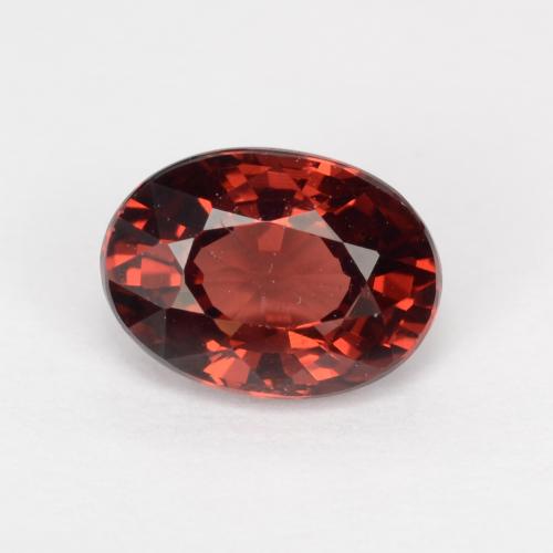 Deep Scarlet Red Pyrope Garnet Gem - 1.2ct Oval Facet (ID: 543405)