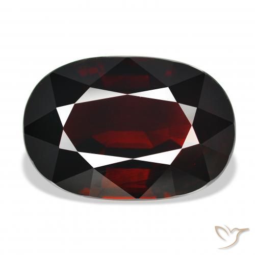 21.89ct Natural Blackish Red Pyrope Garnet, Oval, IF