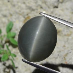 8ct Oval Cabochon Green Quartz Cat's Eye Gem for sale 8ct Oval Cabochon Green Quartz Cat's Eye Gem (ID: 471825)