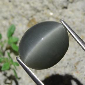 7.96 ct Gray Quartz Cat's Eye Stone, Natural Quartz Cat's Eye in Oval Cabochon Shape for Sale