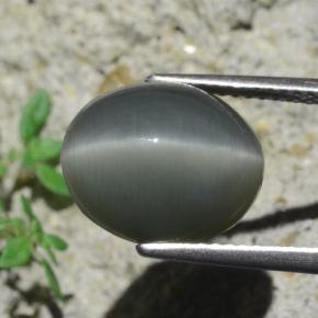Quartz Cat's Eye Gemstone in 12.9 x 10.6 mm Size for Sale, Quartz Cat's Eye Stone in Dark Grey Color