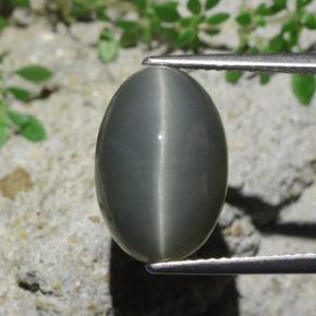 9.07 ct Green Quartz Cat's Eye Gemstone, Quartz Cat's Eye Gem in Oval Cabochon Shape for Sale.