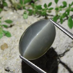 9.07 ct Green Quartz Cat's Eye Stone, Natural Quartz Cat's Eye in Oval Cabochon Shape for Sale