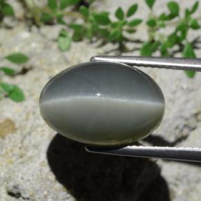 Quartz Cat's Eye Gemstone in 14.9 x 10 mm Size for Sale, Quartz Cat's Eye Stone in Green Color