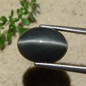 Quartz Cat's Eye Gemstone in 13 x 9.3 mm Size for Sale, Quartz Cat's Eye Stone in Black Color
