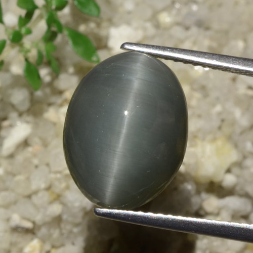 Pale-Greenish Grey Quarz-Katzenauge Edelstein - 7.1ct Oval Cabochon (ID: 471828)