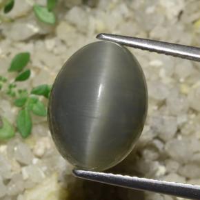 8.08 ct Green Quartz Cat's Eye Gemstone, Quartz Cat's Eye Gem in Oval Cabochon Shape for Sale.