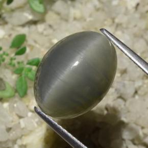 8.08 ct Green Quartz Cat's Eye Stone, Natural Quartz Cat's Eye in Oval Cabochon Shape for Sale
