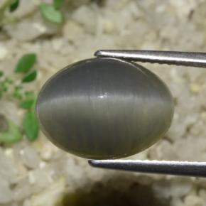 Quartz Cat's Eye Gemstone in 14 x 10 mm (calibrated) Size for Sale, Quartz Cat's Eye Stone in Grey Green Color