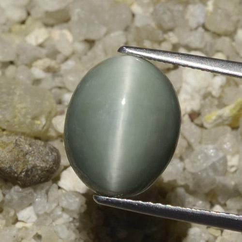 Oeil de Chat Quartz Vert oval cabochon 6,06 ct du Sri Lanka, dimension 12,4 x 10,1mm, pierre gemme naturelle Non traité, pureté Opaque , 1 pièce Oeil de Chat Quartz de couleur Gris moyen, dureté Mohs de 7 convient aux bijoux de tous les jours, pierre de sagesse, Photo A