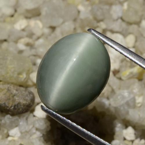 6.06 ct Green Quartz Cat's Eye Stone, Natural Quartz Cat's Eye in Oval Cabochon Shape for Sale
