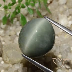 7.74 ct Green Quartz Cat's Eye Stone, Natural Quartz Cat's Eye in Oval Cabochon Shape for Sale