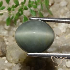 Quartz Cat's Eye Gemstone in 12.1 x 10.8 mm Size for Sale, Quartz Cat's Eye Stone in Medium Grey Color