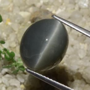 7.89 ct Gray Quartz Cat's Eye Stone, Natural Quartz Cat's Eye in Oval Cabochon Shape for Sale