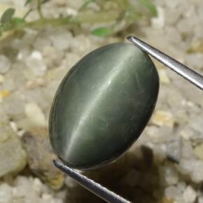 8.78 ct Green Quartz Cat's Eye Stone, Natural Quartz Cat's Eye in Oval Cabochon Shape for Sale