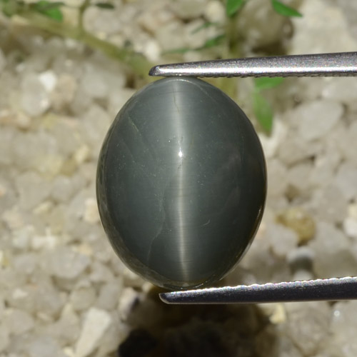 Greenish Grey Quartz Cat's Eye Gem - 7.5ct Oval Cabochon (ID: 471835)