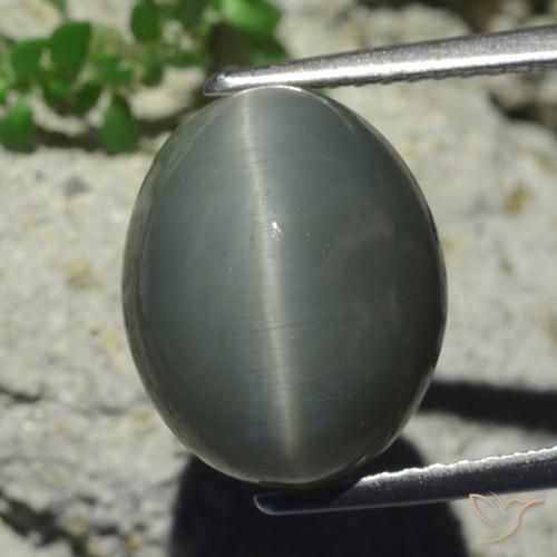 7.28 ct Oval Quartz Cat's Eye, 12.5 x 10.3 mm From Sri Lanka, Photo A