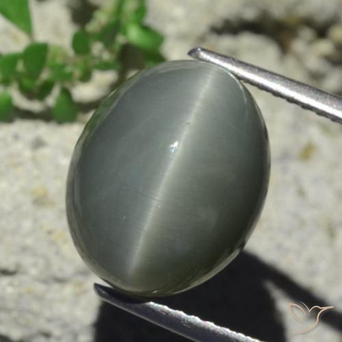 7.28 ct Gray Quartz Cat's Eye Stone, Natural Quartz Cat's Eye in Oval Cabochon Shape for Sale