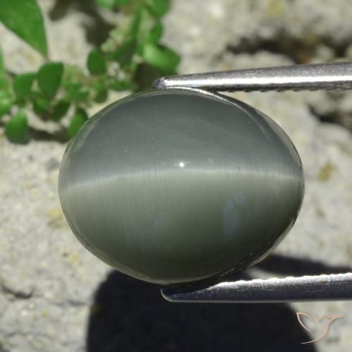 Quartz Cat's Eye Gemstone in 12.5 x 10.3 mm Size for Sale, Quartz Cat's Eye Stone in Pale-Greenish Grey Color