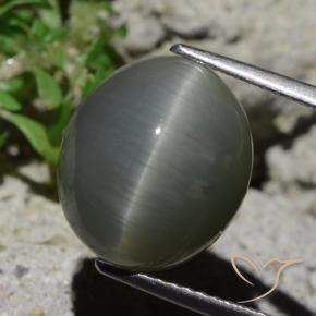 8.02 ct Gray Quartz Cat's Eye Stone, Natural Quartz Cat's Eye in Oval Cabochon Shape for Sale