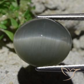 Quartz Cat's Eye Gemstone in 12.9 x 11.4 mm Size for Sale, Quartz Cat's Eye Stone in Pale-Greenish Grey Color