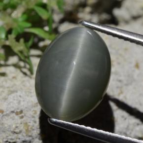 Pale-Greenish Grey Quartz Cat's Eye Gem - 6.1ct Oval Cabochon (ID: 471911)