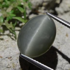 6.12 ct Gray Quartz Cat's Eye Stone, Natural Quartz Cat's Eye in Oval Cabochon Shape for Sale