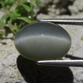 Quartz Cat's Eye Gemstone in 14 x 10 mm (calibrated) Size for Sale, Quartz Cat's Eye Stone in Pale-Greenish Grey Color