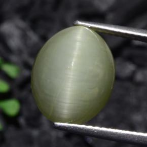 7.7ct Oval Cabochon Green Quartz Cat's Eye for sale thumb image of 7.7ct Oval Cabochon Green Quartz Cat's Eye (ID: 471912)