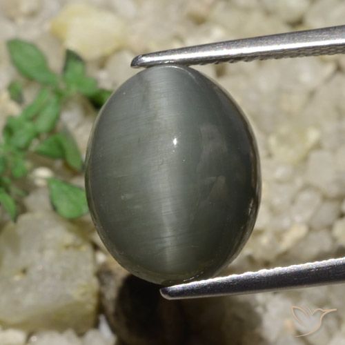 6.65 ct Oval Quartz Cat's Eye, 12.6 x 10 mm From Sri Lanka, Photo A