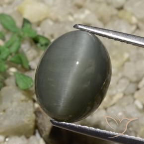 6.65 ct Gray Quartz Cat's Eye Stone, Natural Quartz Cat's Eye in Oval Cabochon Shape for Sale