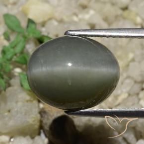 Quartz Cat's Eye Gemstone in 12.6 x 10 mm Size for Sale, Quartz Cat's Eye Stone in Medium Grey Color