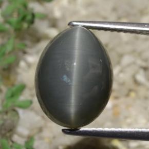 8.2ct Oval Cabochon Green Quartz Cat's Eye Gem for sale 8.2ct Oval Cabochon Green Quartz Cat's Eye Gem (ID: 471914)