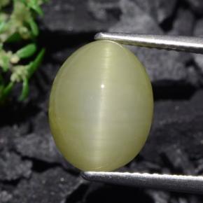 Warm Green Quartz Cat's Eye Gem - 6.4ct Oval Cabochon (ID: 471915)