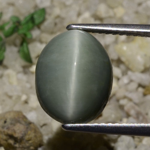 11,7 x 9,4mm ovaler grüner Quarz-Katzenauge aus Sri Lanka, Gewicht 5,82 ct, 1 Stück Quarz-Katzenauge - Farbe: Grünliches Grau, natürlicher Edelstein in Translucent Reinheit, Mohs-Härte von 7 Geeignet für den täglichen Gebrauch im Schmuck, Photo A