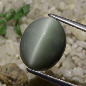 5.82 ct Green Quartz Cat's Eye Stone, Natural Quartz Cat's Eye in Oval Cabochon Shape for Sale