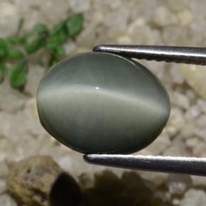 Quartz Cat's Eye Gemstone in 11.7 x 9.4 mm Size for Sale, Quartz Cat's Eye Stone in Greenish Grey Color