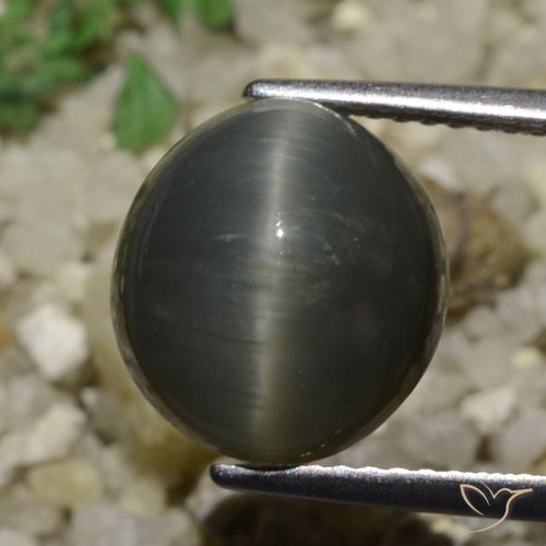 6.05 ct Oval Quartz Cat's Eye, 11.2 x 10.3 mm From Sri Lanka, Photo A