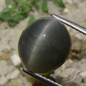 6.05 ct Gray Quartz Cat's Eye Stone, Natural Quartz Cat's Eye in Oval Cabochon Shape for Sale