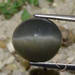 Quartz Cat's Eye Gemstone in 11.2 x 10.3 mm Size for Sale, Quartz Cat's Eye Stone in Steel Grey Color