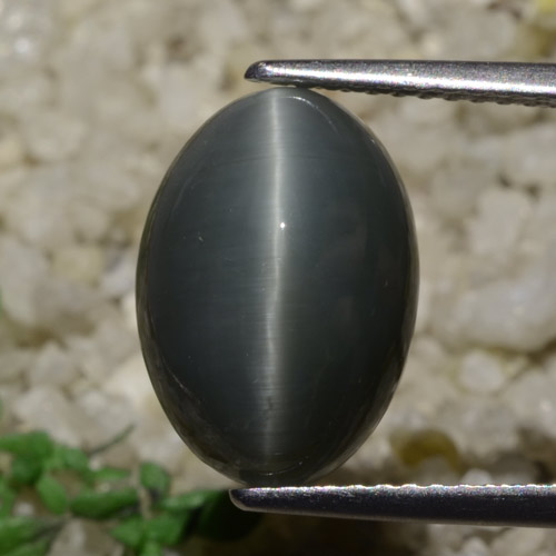 Steel Grey Quartz Cat's Eye Gem - 6.2ct Oval Cabochon (ID: 471919)