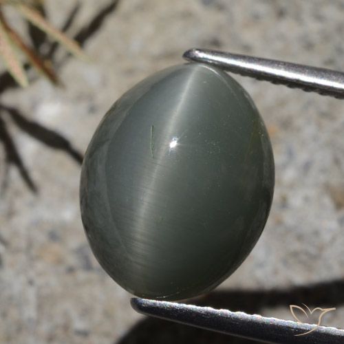 7.32 ct Oval Quartz Cat's Eye, 12.8 x 10.2 mm From Sri Lanka, Photo A