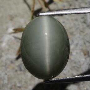 7.21 ct Green Quartz Cat's Eye Gemstone, Quartz Cat's Eye Gem in Oval Cabochon Shape for Sale.