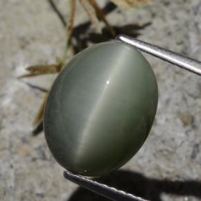 7.21 ct Green Quartz Cat's Eye Stone, Natural Quartz Cat's Eye in Oval Cabochon Shape for Sale