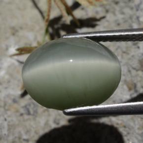 Quartz Cat's Eye Gemstone in 12.8 x 10 mm Size for Sale, Quartz Cat's Eye Stone in Greenish Grey Color