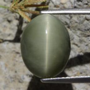 5.40 ct Green Quartz Cat's Eye Gemstone, Quartz Cat's Eye Gem in Oval Cabochon Shape for Sale.