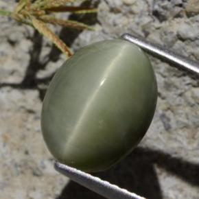 5.40 ct Green Quartz Cat's Eye Stone, Natural Quartz Cat's Eye in Oval Cabochon Shape for Sale